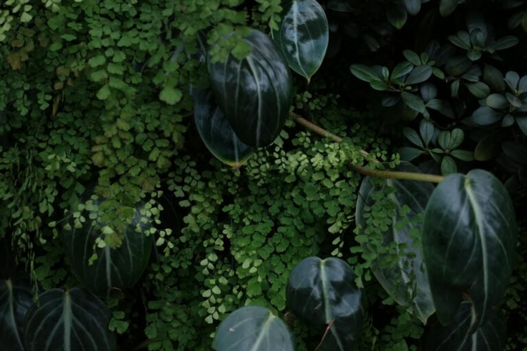 Dense green foliage captured at Singapore's lush botanical gardens, a serene natural escape.